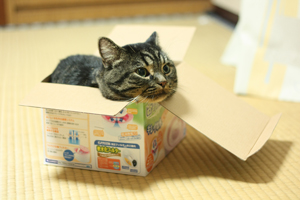ぴったりフィットしすぎて身動き取れず