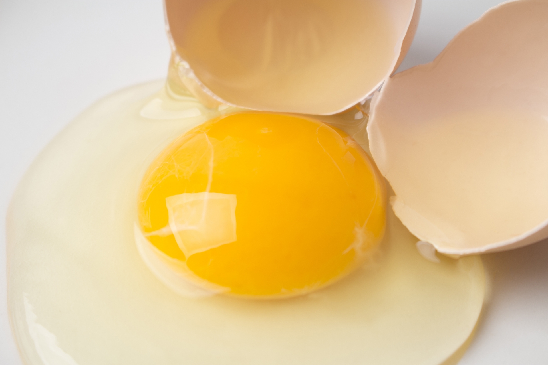 卵の中から卵 生卵の中から殻付きの小さい卵が出てきてビックリした朝 ミズタマブログ