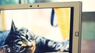 タブレットは一家に一台あると便利で楽しい!【タブレットアンバサダー】(7)
